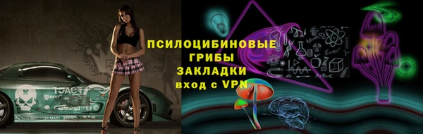 индика Абаза
