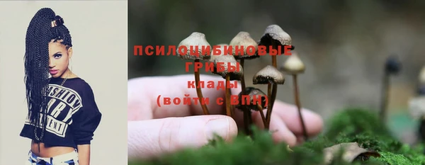 марки lsd Алексеевка