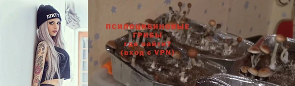мяу мяу кристалл Алексин
