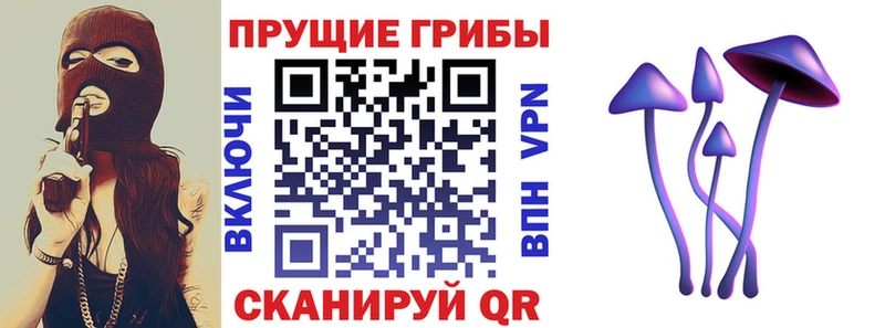 даркнет сайт  Тверь  Галлюциногенные грибы прущие грибы 
